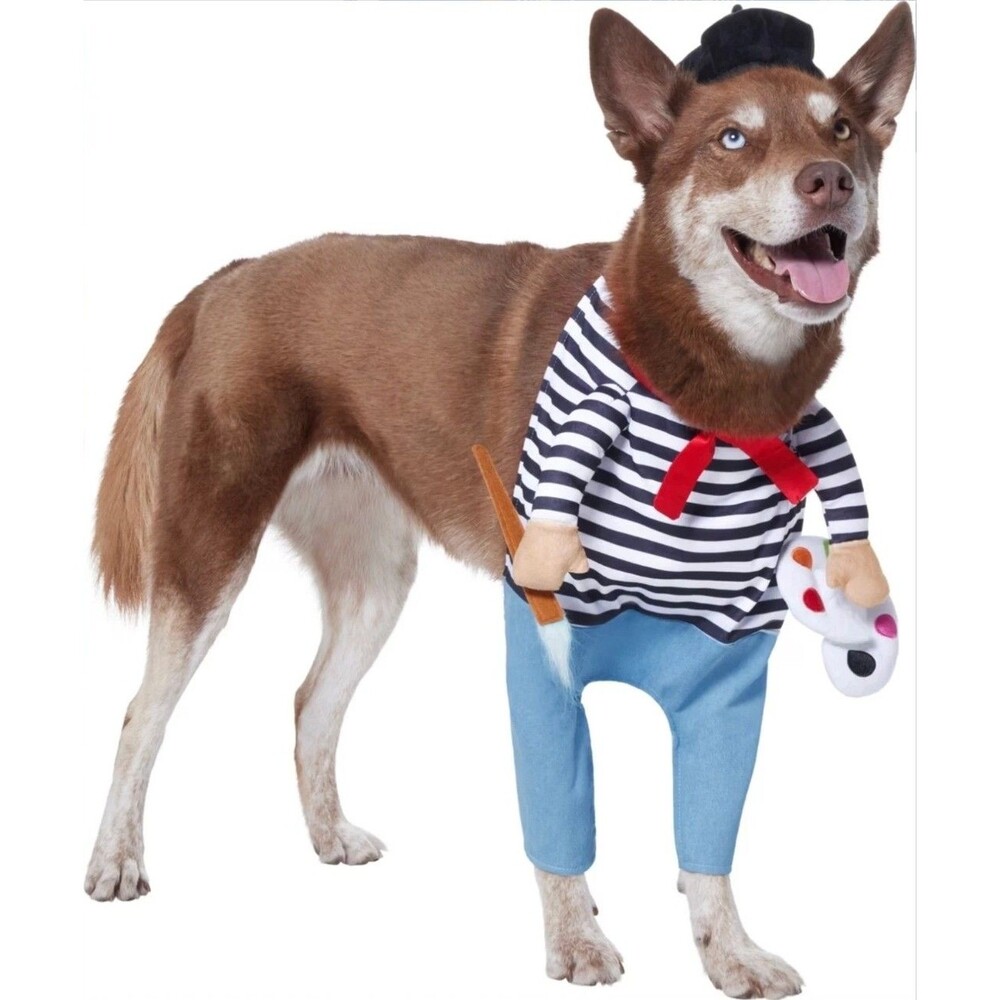 Frisco Front Walking French Med Artist Painter Pet Dog Costume Halloween Beret